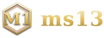 ms13 logo